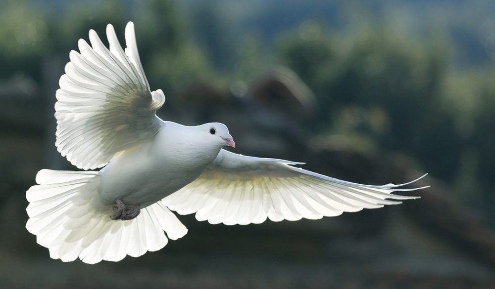 A prayer for an end to&nbsp;terrorism