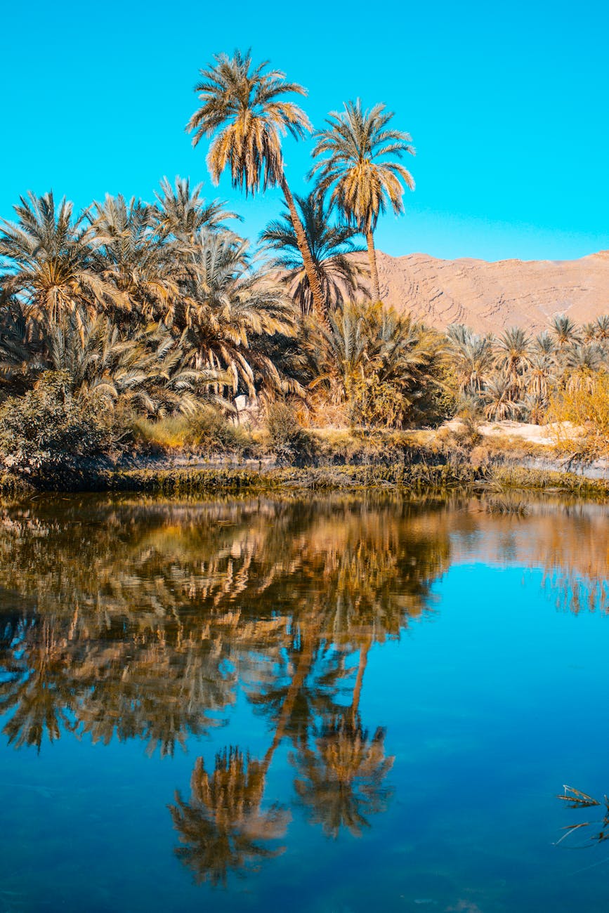 For you I am searching