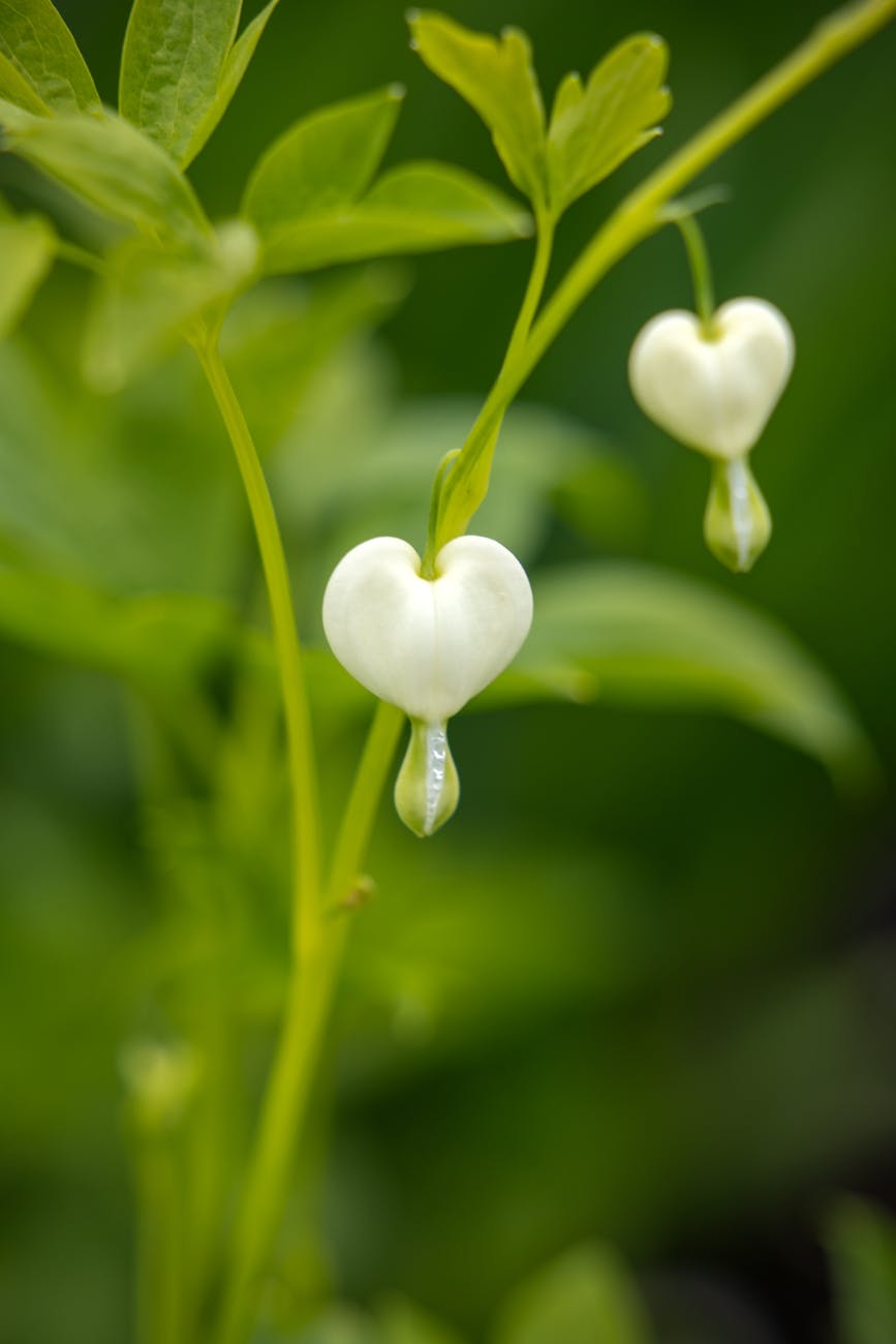 Create in me a clean heart