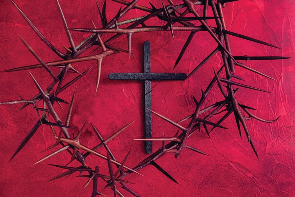 The precious blood